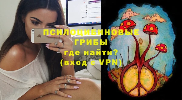эйфоретик Аркадак