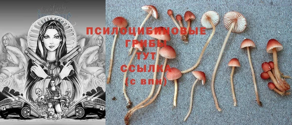 эйфоретик Аркадак