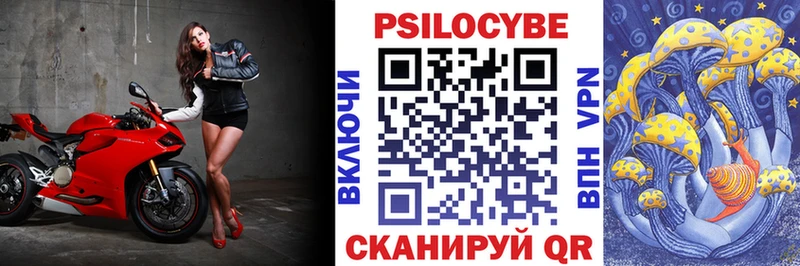 Галлюциногенные грибы Psilocybine cubensis  Зуевка 